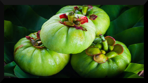 Garcinia cambogia