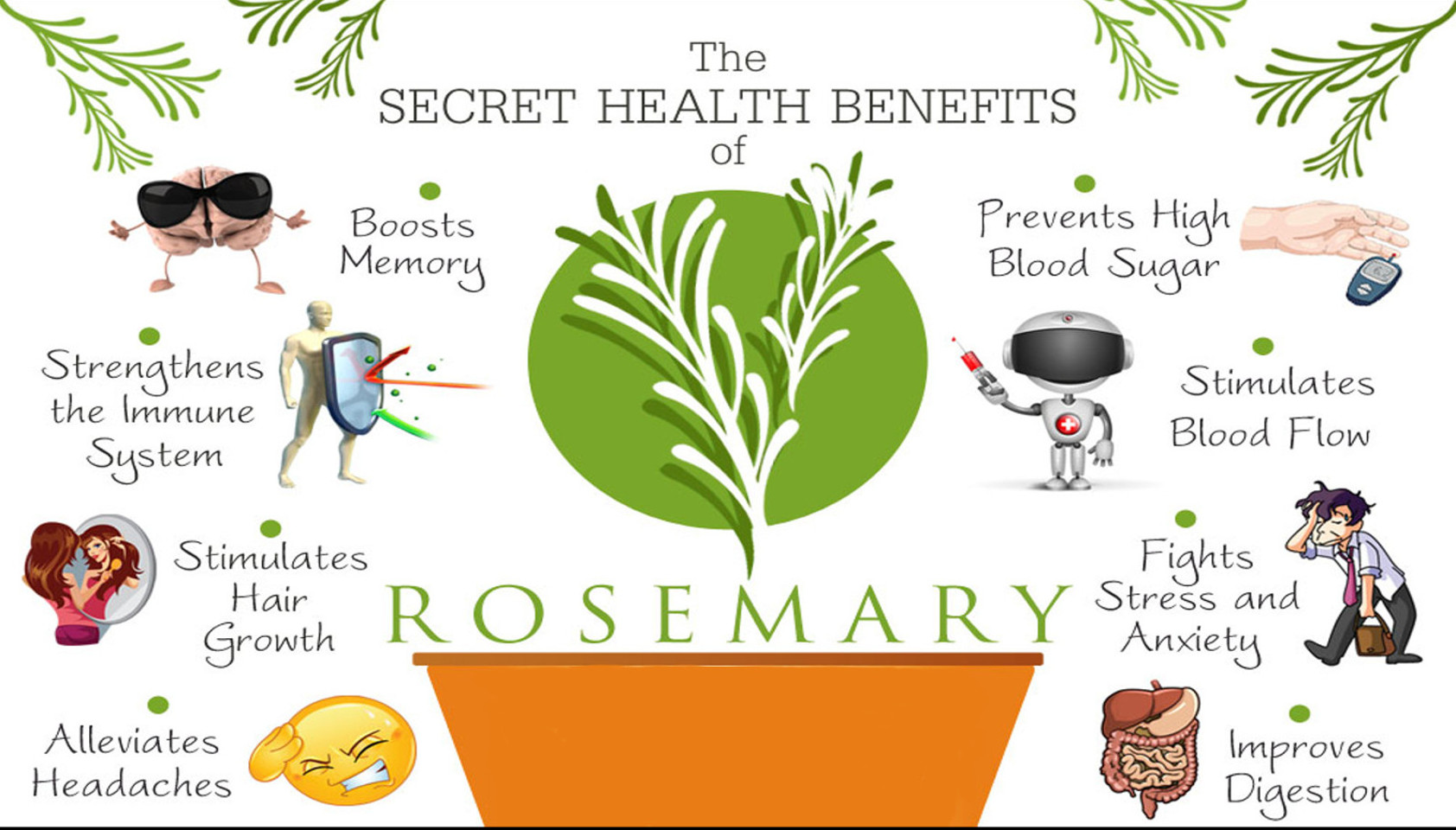 Rosemary Oil