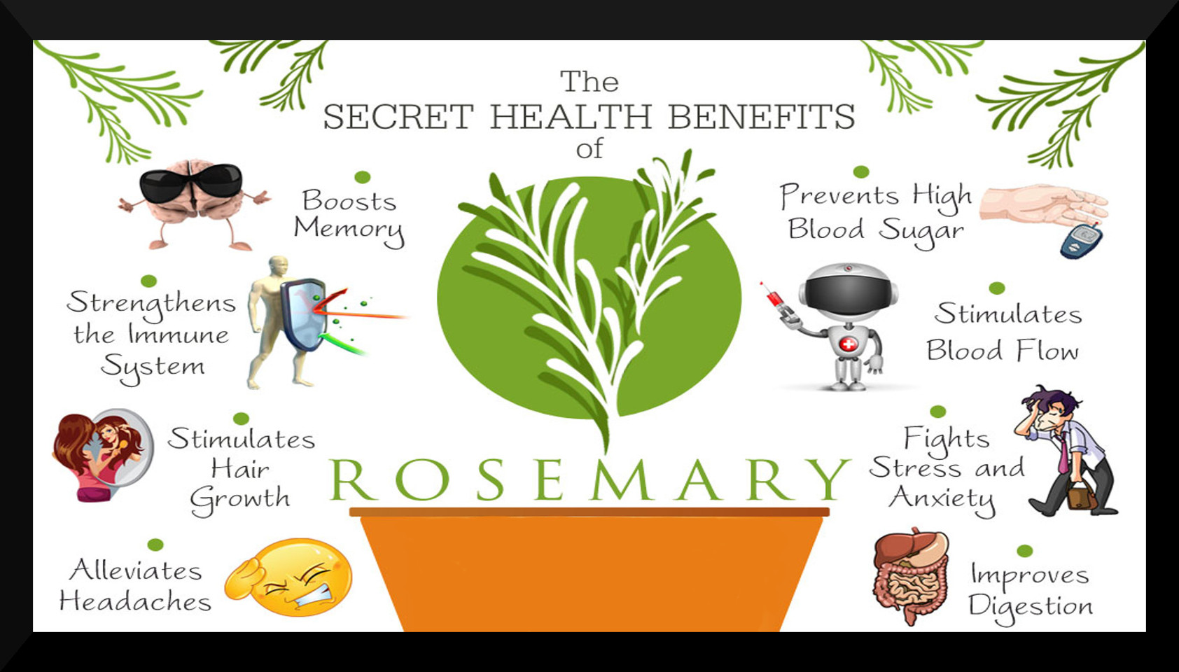 Rosemary oil - week 3