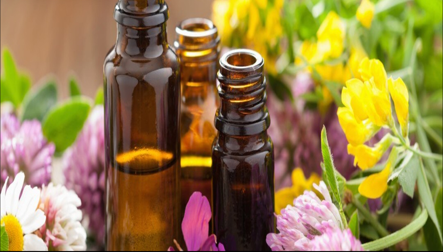 doTERRA Salon Essentials