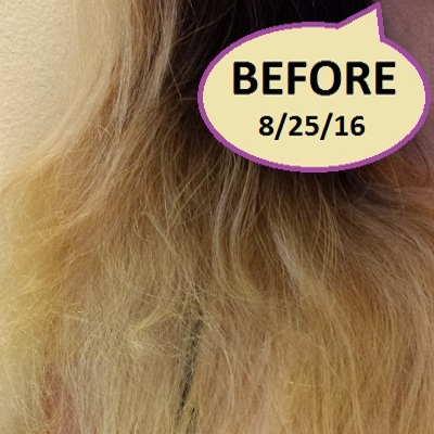 doTERRA Salon Essentials