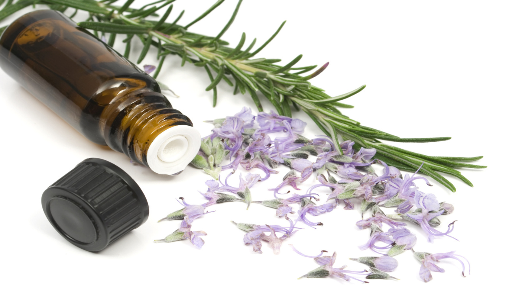 Rosemary Essential Oil