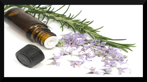 Rosemary essential oil for hair loss - 3 month conclusion
