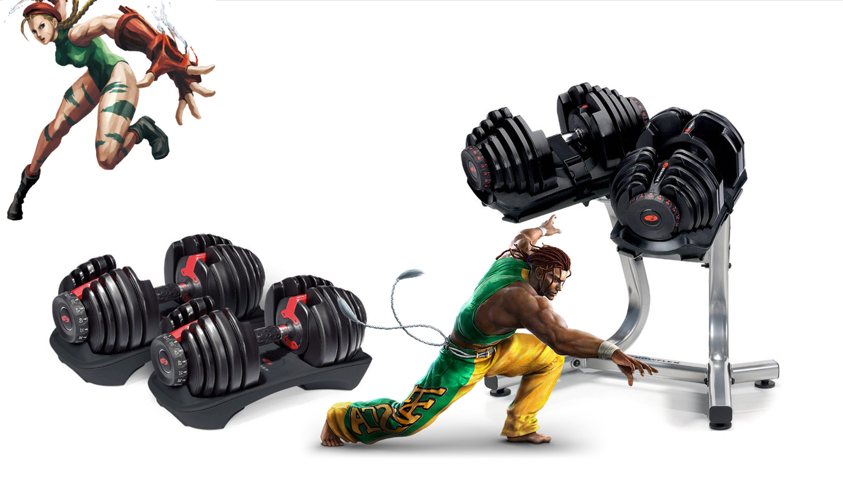 Bowflex Dumbbells